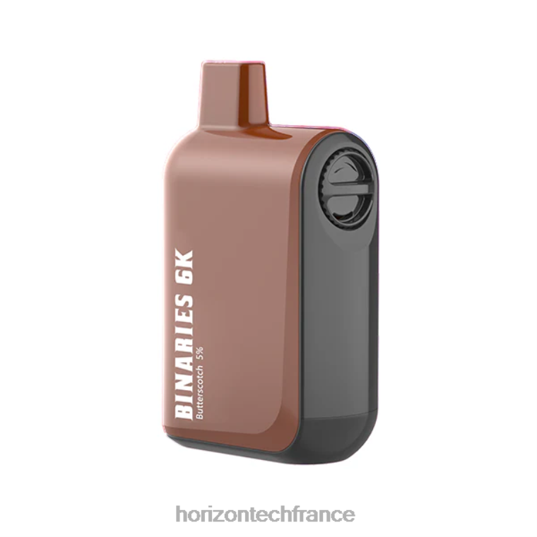 HorizonTech Binaries Cabin jetable 15ml caramel au beurre TZ8T36 Horizontech Vape Kit